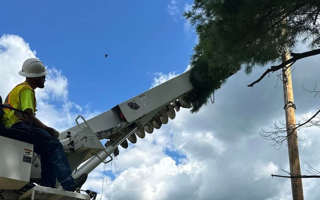 New York Storm Response August 2024