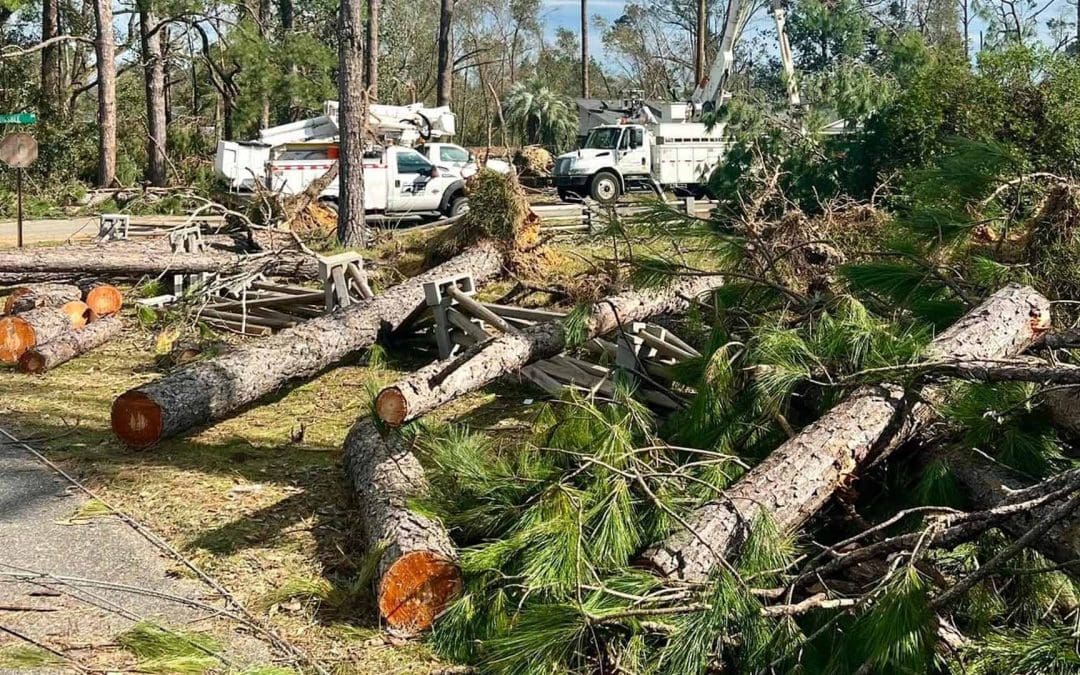 Hurricane Helene and Milton Storm Response Oct 2024