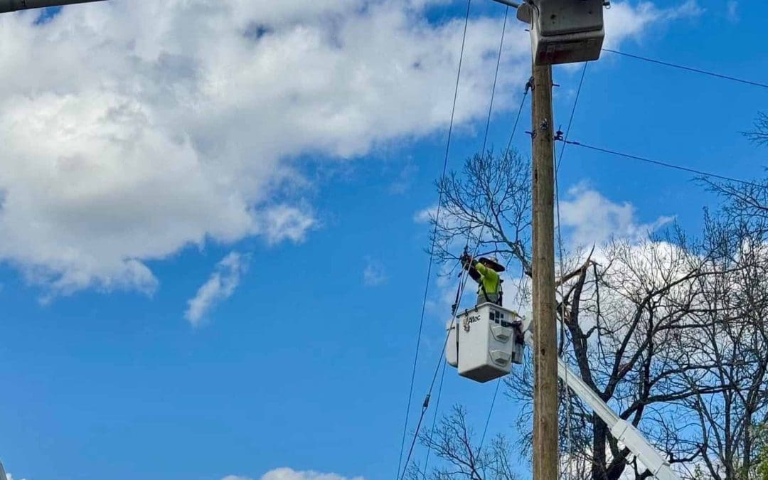 Michigan Storm Response March 2025